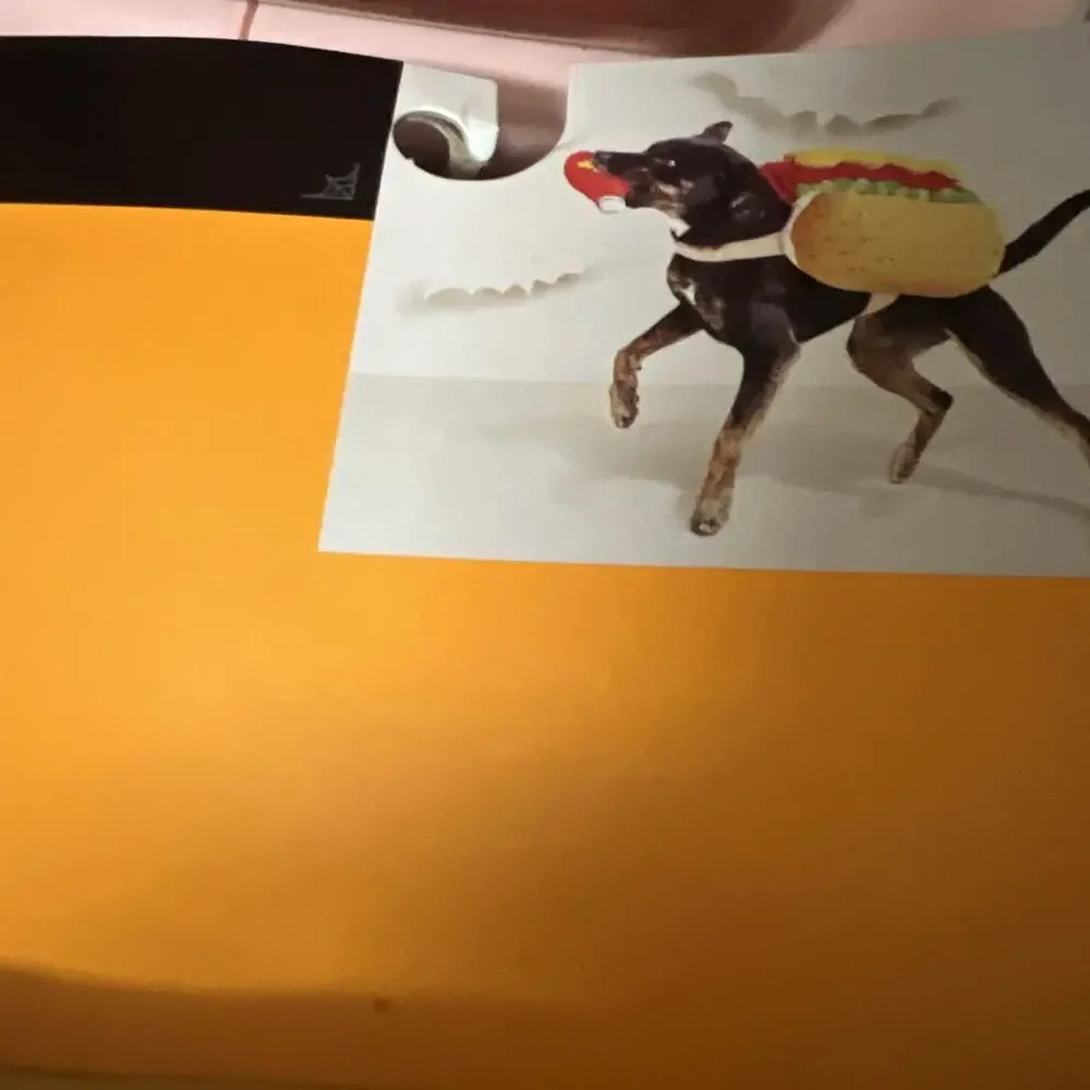 Target Hyde & Eek! Medium M Pet Hot Dog Halloween Costume New
